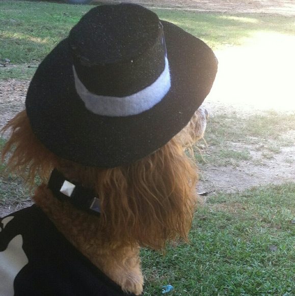 Meet your Posher, Sharon - Picture 5 of 6